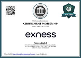 Is Exness Reliable – A Comprehensive Review